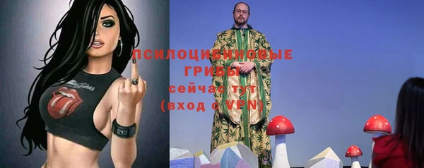 винт Белокуриха