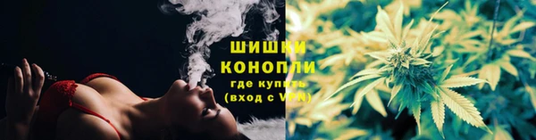 шишки Беломорск