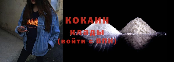 spice Богородицк