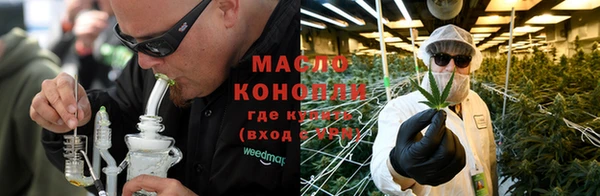 spice Богородицк