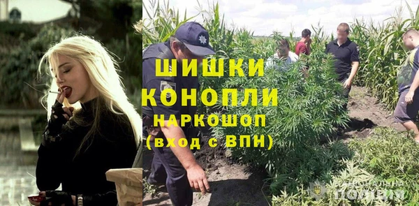 spice Богородицк