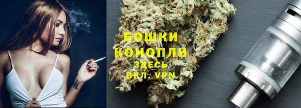 винт Белокуриха
