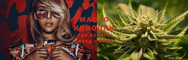 шишки Беломорск