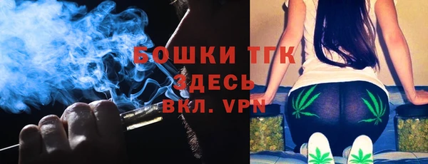 spice Богородицк