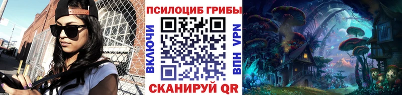 купить  цена  мега вход  Псилоцибиновые грибы GOLDEN TEACHER  Дюртюли 